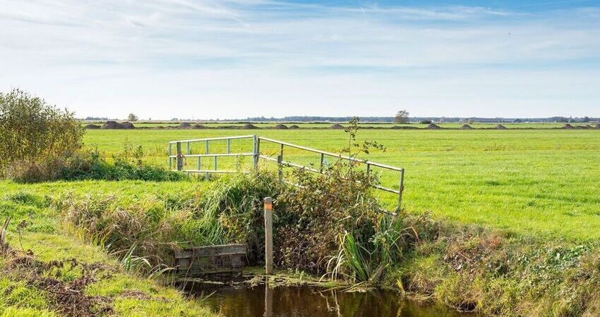 Foto van weilanden met een hek en een sloot in de voorgrond